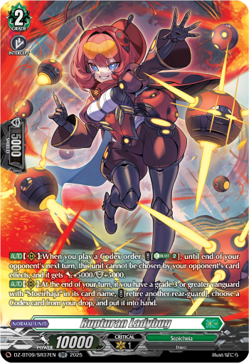 Rupturan Ladybug (SR)